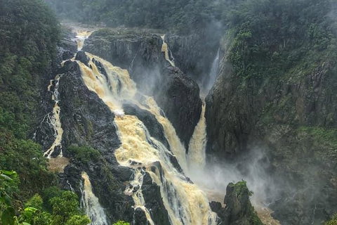 Cairns City Tour - Holiday Cairns 8