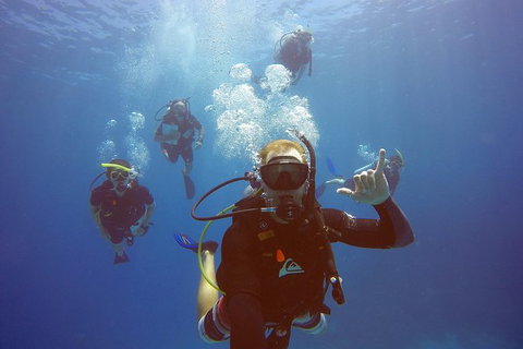 12-Day Great Barrier Reef Marine Conservation Program From Cairns - Holiday Cairns 1