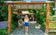 3 Day Cape Tribulation & Cooktown Tour From Cairns Or Port Douglas - thumb 1