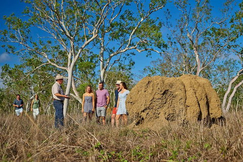 3 Day Cape Tribulation & Cooktown Tour From Cairns Or Port Douglas - Holiday Cairns 14