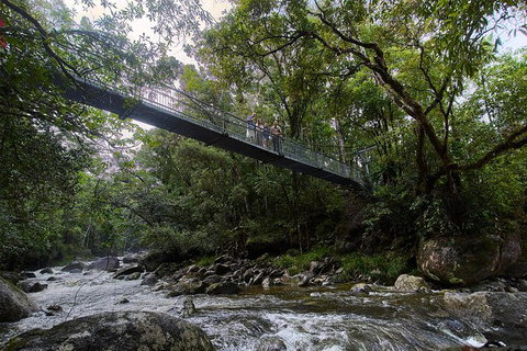 3 Day Cape Tribulation & Cooktown Tour From Cairns Or Port Douglas - Holiday Cairns 3