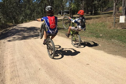Electric Mountain Bike Tropical Tours - Holiday Cairns 9