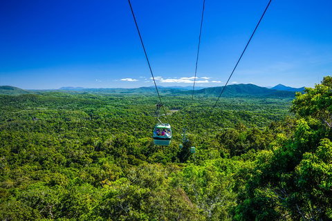 Kuranda Day Tour, TKS- Budget 830 - Holiday Cairns 5