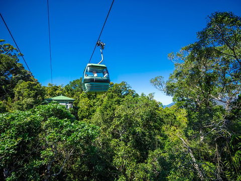 Kuranda Day Tour, TKS- Budget 830 - Holiday Cairns 3