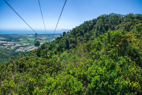Kuranda Day Tour, TKS- Budget 830 - Holiday Cairns 1
