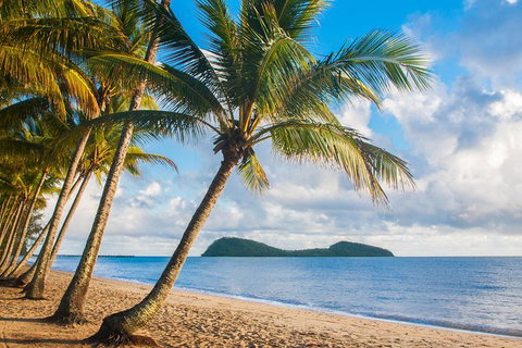 Luxury Van, Private Transfer, Cairns Airport - Palm Cove. - Holiday Cairns 1