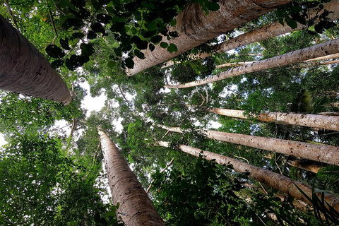 The Paronella Experience - Holiday Cairns 2