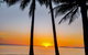 Airport Transfers Between Cairns Airport And Palm Cove - thumb 4