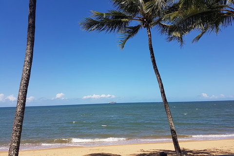 Airport Transfers Between Cairns Airport And Palm Cove - Holiday Cairns 8