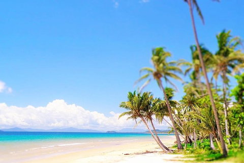Airport Transfer - Cairns Airport To Mission Beach - Holiday Cairns 1