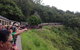 Kuranda Is Waiting Come Take The Spectacular Skyrail / Kuranda Scenic Railway - thumb 1