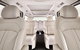 Luxury Van, Private Transfer, Cairns Airport -Trinity Beach. - thumb 2