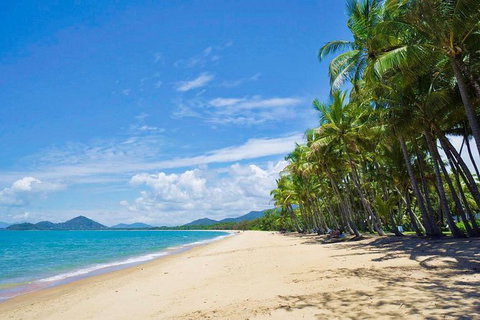 Airport Transfer - Cairns Airport To Palm Cove, Kewarra & Trinity Beaches - Holiday Cairns 4