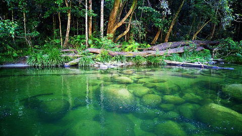Cairns Adventure Package- 4 Tours In 3 Days! - Holiday Cairns 6