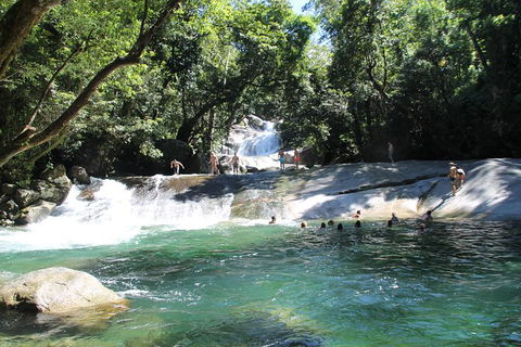 Cairns Adventure Package- 4 Tours In 3 Days! - Holiday Cairns 7