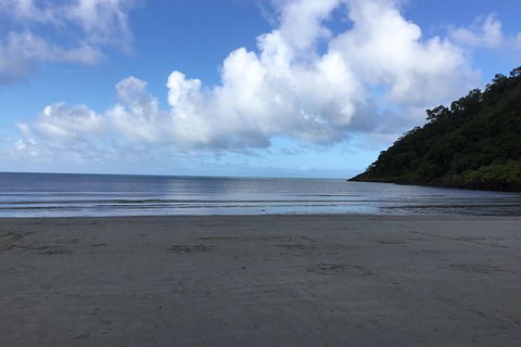 Daintree Luxury Limousine Tour - Full Day - Holiday Cairns 6