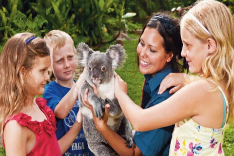 Kuranda Day Tour + HotAir Balloon Combo - Holiday Cairns 9