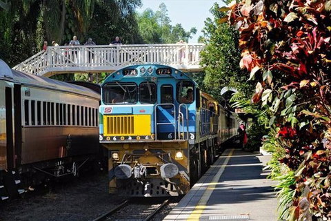 Kuranda Day Tour + HotAir Balloon Combo - Holiday Cairns 3