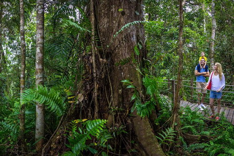 Kuranda Day Tour + HotAir Balloon Combo - Holiday Cairns 11