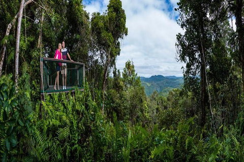 Kuranda Day Tour + HotAir Balloon Combo - Holiday Cairns 6