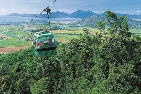 Kuranda Day Tour, TKS-RFS GRAND GOLD PLUS 0930 - Holiday Cairns 0