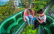 Kuranda Day Tour, TKS-RFS GRAND GOLD PLUS 0930 - thumb 1