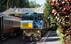 Kuranda Day Tour, TKS-RFS GRAND GOLD PLUS 0930 - thumb 7