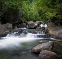 Waterfall and Wallabies Sighting Tour - Holiday Cairns