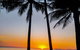 Private Transfers - Cairns Airport To Cairns City - thumb 7