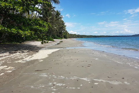 Private Transfers - Cairns Airport To Cairns City - Holiday Cairns 1