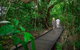 Cairns Pullman Cairns International 5 Nights Package Combo - thumb 7