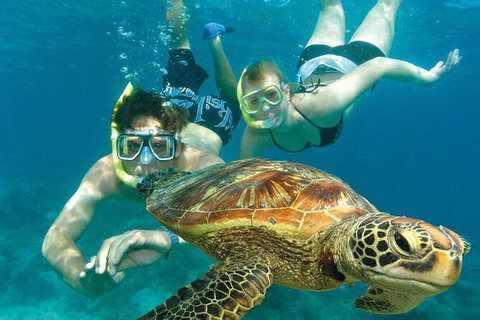 Cairns Pullman Cairns International 5 Nights Package Combo - Holiday Cairns 4