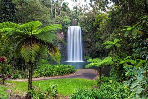 Cairns & Port Douglas All-Inclusive 7 Days Touring Package - Holiday Cairns 5