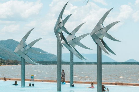 Cairns Airport Private Chater Transfer - Holiday Cairns 4