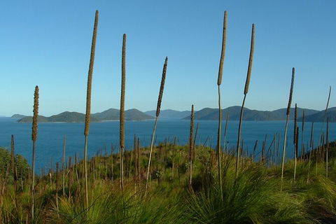 7-Day Private Sea Kayaking In Whitsundays - Holiday Cairns 8