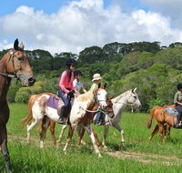 Horse Riding with Petting Zoo Visit in Cairns - Holiday Cairns