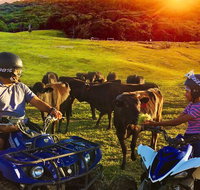 ATV Ride with Petting Zoo Experience in Kuranda from Cairns - Holiday Cairns