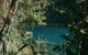 Private Waterfall And Rainforest Day Tour - thumb 7