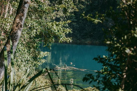 Private Waterfall And Rainforest Day Tour - Holiday Cairns 7