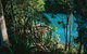 Private Waterfall And Rainforest Day Tour - thumb 4
