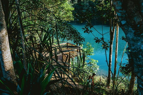 Private Waterfall And Rainforest Day Tour - Holiday Cairns 4