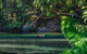 Private Waterfall And Rainforest Day Tour - thumb 3