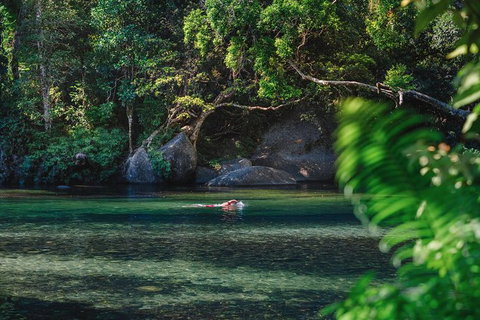 Private Waterfall And Rainforest Day Tour - Holiday Cairns 3