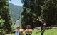 Private Waterfall And Rainforest Day Tour - thumb 6