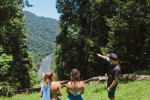 Private Waterfall And Rainforest Day Tour - Holiday Cairns 6