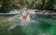 Private Waterfall And Rainforest Day Tour - thumb 1