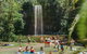 Private Waterfall And Rainforest Day Tour - thumb 5