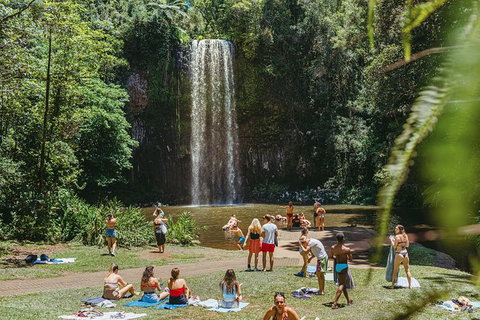 Private Waterfall And Rainforest Day Tour - Holiday Cairns 5