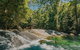 Private Waterfall And Rainforest Day Tour - thumb 2