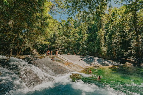 Private Waterfall And Rainforest Day Tour - Holiday Cairns 2